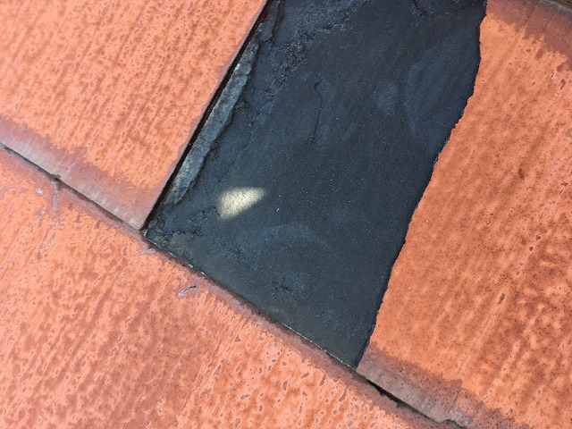 パミールのメンテナンス方法に注意